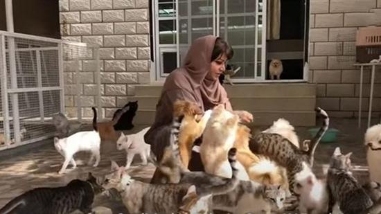 زنی صاحب سگ و گربه در عمان