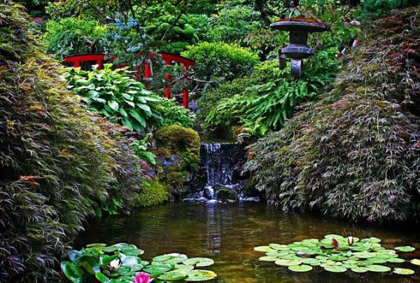 زیباترین باغ دنیا با گل های طبیعی در کانادا