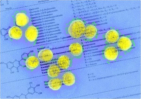 فلاونول های گیاهی