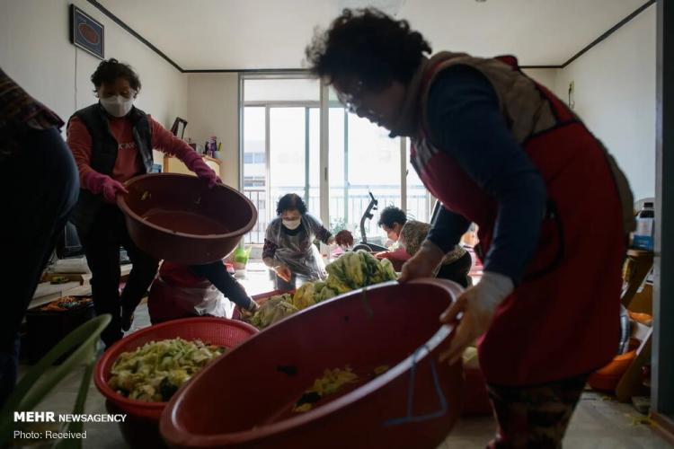 تصاویر غذای کیمچی,عکس های غذای کیمچی,تصاویری از غذای کیمچی در کره جنوبی