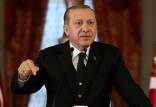 رجب طیب اردوغان,رئیس جمهور ترکیه