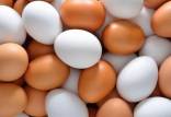 قیمت هر شانه تخم مرغ,تخم مرغ