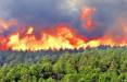 آتش سوزی جنگل,حریق در جنگل های ایران