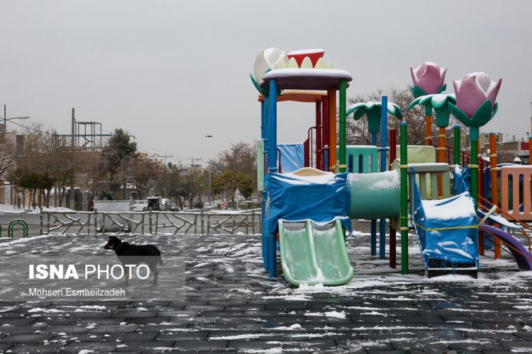 تصاویر بارش اولین برف پاییزی در مشهد,عکس های بارش برف در مشهد,تصاویری از بارش برف در مشهد