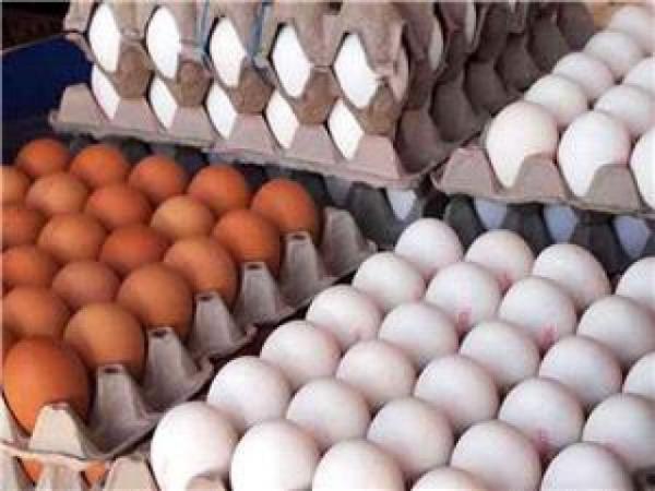 قیمت مرغ و تخم مرغ,افزایش قیمت مواد غذایی