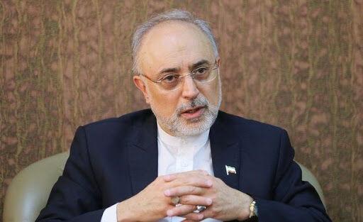 علی اکبر صالحی, رئیس سازمان انرژی اتمی