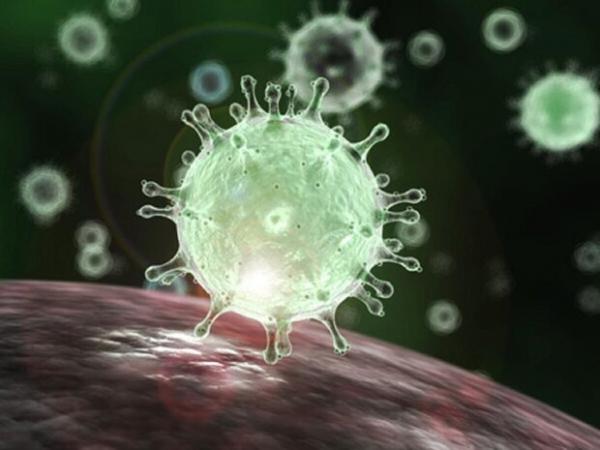 ویروس انگلیسی,عفونت مجدد به کرونا