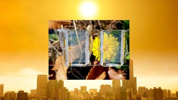 سلول خورشیدی,سلول خورشیدی شفاف