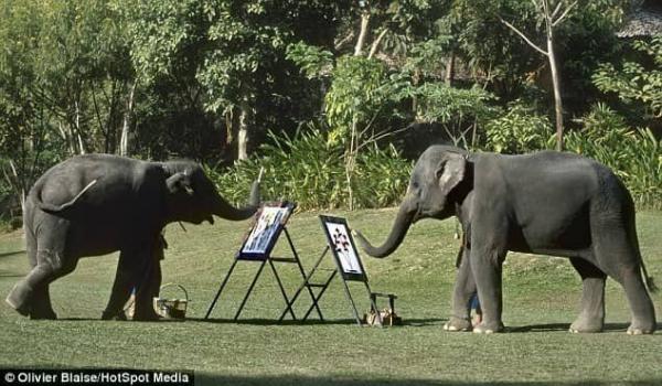 فیل,نقاشی فیل ها