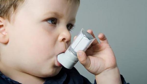 آسم در کودکی,ارتباط افزایش مصرف گوشت با بروز علائم آسم در کودکی