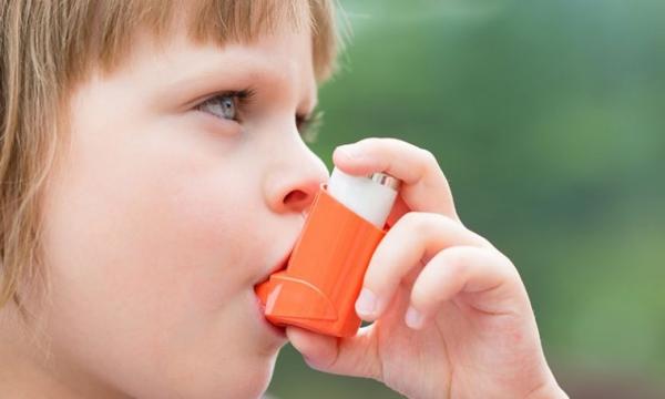 آسم در کودکی,ارتباط افزایش مصرف گوشت با بروز علائم آسم در کودکی