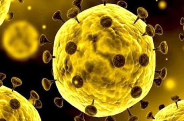 کووید19,چاقی از عوامل تشدید عوارض کرونا