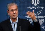 علی ربیعی,سخنگوی دولت