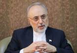 علی اکبرصالحی,رئیس سازمان انرژی اتمی