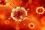 ویروس کرونا,فاجعه افزایش کرونا