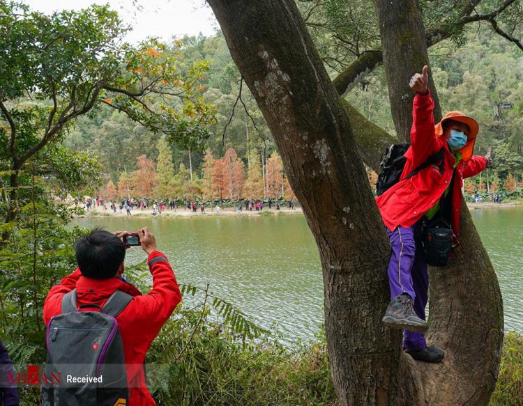 تصاویر شاخ و برگ,عکس های شاخ و برگ‌های رنگارنگ,تصاویر پارک ملی لاو شویی هئونگ