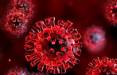 جهش ویروس کرونا,واکسن های مورد تأیید سازمان بهداشت جهانی
