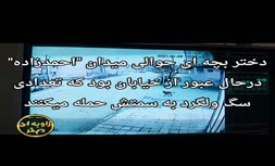 فیلم/ حمله سگهای ولگرد به دختر بچه ای در خرمشهر