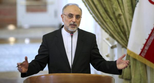علی اکبر صالحی,رییس سازمان انرژی اتمی