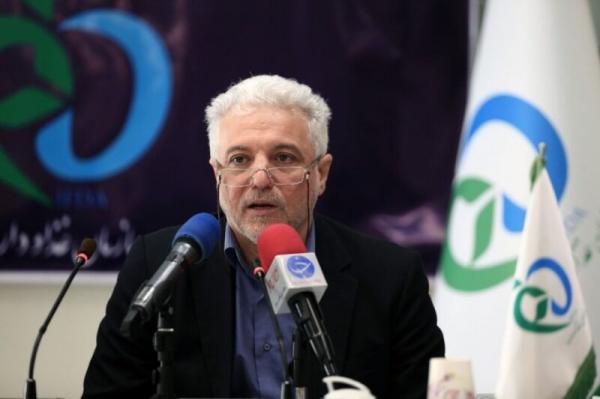 محمدرضا شانه ساز,معاون وزیر بهداشت