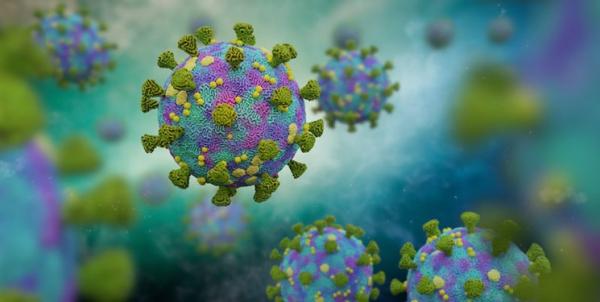 ویروس کرونا,شناسایی ۷ گونه جدید ویروس کرونا در آمریکا