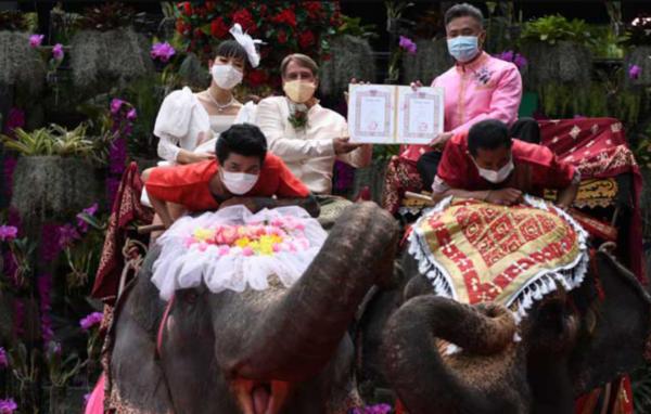 عروسی در تایلند با حضور فیل ها,عروسی دسته‌جمعی سوار فیل در ولنتاین
