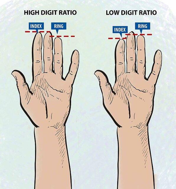 مطلع شدن از عادات غذایی افراد با استفاده از طول انگشتان,طول انگشتان دست