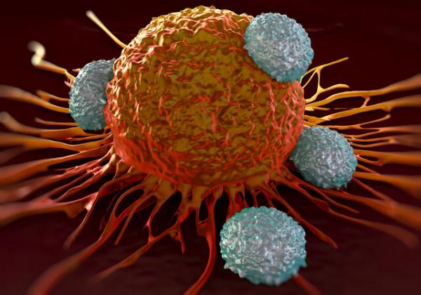 سرطان روده,کشف راهبرد درمانی جدیدی برای مهار سرطان روده بزرگ