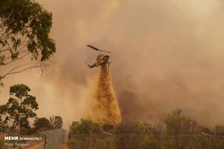 تصاویر آتش سوزی در استرالیا,عکس های آتش سوزی جنگلی در استرالیا,تصاویر تخریب ده ها خانه در پی آتش سوزی جنگلی در استرالیا