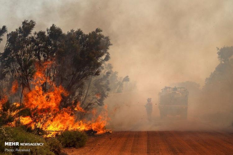 تصاویر آتش سوزی در استرالیا,عکس های آتش سوزی جنگلی در استرالیا,تصاویر تخریب ده ها خانه در پی آتش سوزی جنگلی در استرالیا
