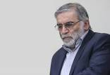 ترور شهید فخری‌زاده,عامل ترور شهید فخری‌زاده