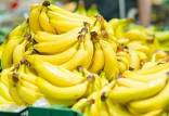 قیمت هر کیلو موز هندی, قیمت هر کیلو موز اکوادوری