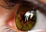 تخریب ماکولای خشک,پیشگیری از نابینایی سالمندان با داروی HIV