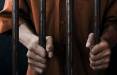 سلبریتی ها در زندان,انجام جرم توسط سلبریتی ها