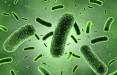 عفونت باکتریایی,ماده ای برای پیشگیری از عفونت باکتریایی
