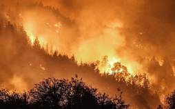 تصاویر آتش سوزی در جنگل‌های آرژانتین,عکس های آتش سوزی آرژانتین,تصاویر آتش گرفتن جنگل های آرژانتین