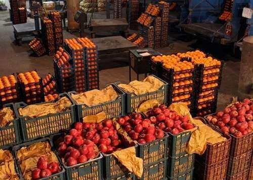عرضه مستقیم میوه در سراسر کشور,عرضه میوه در کشور
