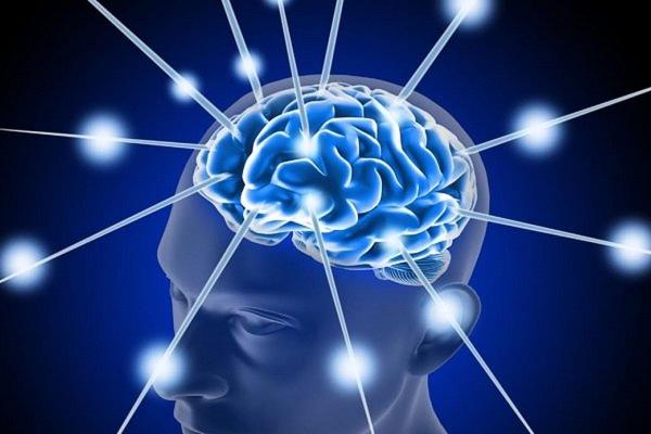 تشخیص تغییرات مغز قبل از زوال عقل تشخیص تغییرات مغز قبل از زوال عقل,زوال عقل