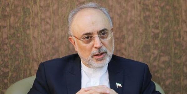 علی اکبر صالحی,رییس سازمان انرژی اتمی