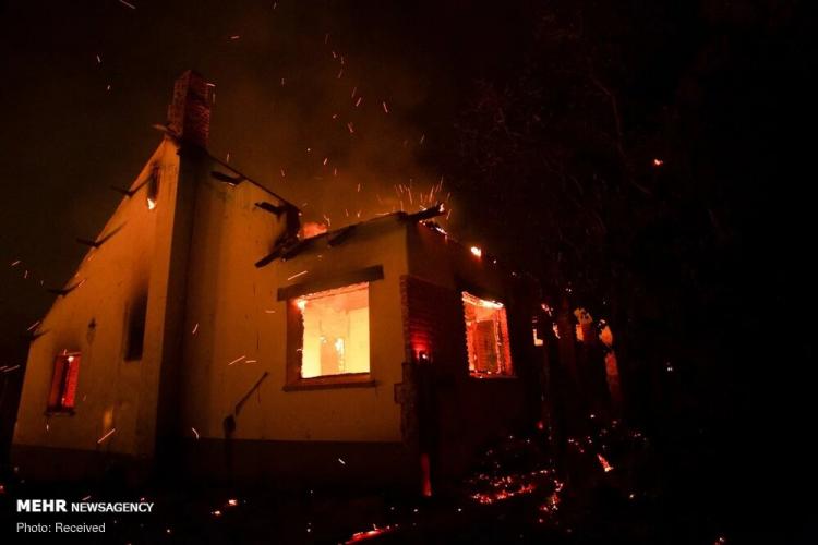 تصاویر آتش سوزی در جنگل‌های آرژانتین,عکس های آتش سوزی آرژانتین,تصاویر آتش گرفتن جنگل های آرژانتین