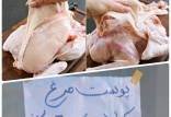 قیمت مرغ و پست مرغ,فروشندگان مرغ