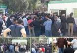 علت گران شدن قیمت مرغ,مرغ در دولت روحانی