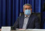عبدالرضا رحمانی فضلی,وزیر کشور