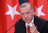 رجب طیب اردوغان,رئیس جمهور ترکیه