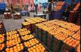 ممنوعیت صادرات سیب و پرتقال,تصمیمات ستاد تنظیم بازار در مورد میوه