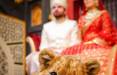 توله شیر زیر بالشی عروس و داماد پاکستانی,عروسی در پاکستان
