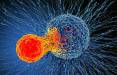 حمله نانوقطرات به یک تومور,نانوقطرات