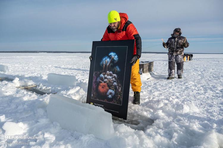 تصاویر اولین نمایشگاه نقاشی زیر یخی جهان,عکس های نمایشگاه نقاشی در یخ,تصاویر نمایشگاه زیر یخی