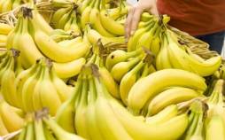 نرخ مصوب موز اعلام شد موزهای وارداتی,قیمت روز موزهای وارداتی