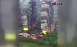 فیلم/ درختان خانه در جزیره هاینان در چین